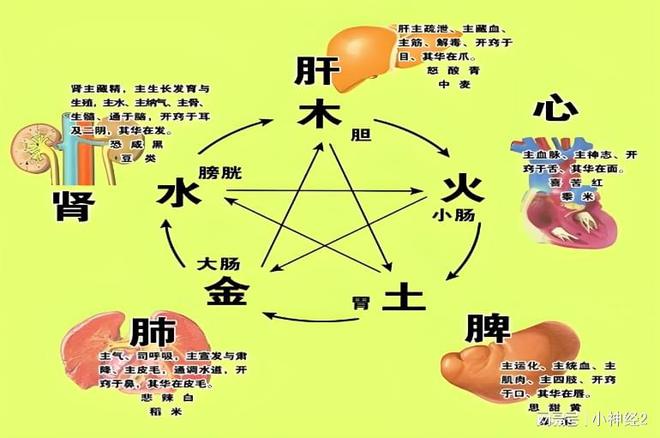 ҽɭΪθøСЧ(ͼ2)